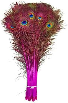 Moonlight Feather 50 Pieces - 20-25" Dyed Over Natural Long Peacock Tail Eye Wholesale Feathers (Bulk)_Parent