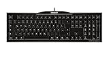 CHERRY MX-Board 3.0 Mechanical USB Keyboard with Cherry MX Blue Switch (G80-3850LSBEU-2)