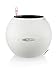 Lechuza 13360 Puro 20 Texture Self-Watering Garden Planter for Indoor and Outdoor Use, White