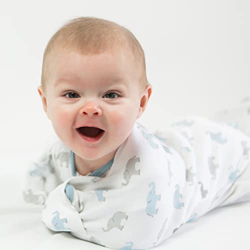Amazing Baby Transitional Swaddle Sack with Arms Up HalfLength Sleeves and Mitten Cuffs, Tiny