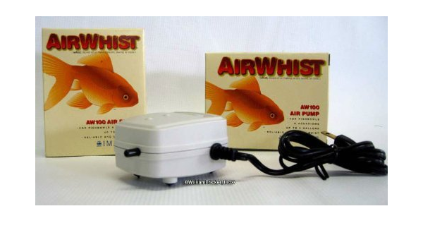 do goldfish need pumps