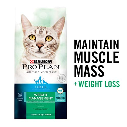 purina pro plan focus weight management