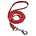 10 Feet Dog Leash Nylon Training Leash Dog Traction Rope Red Dog Leashes for Small Dogs, Great for Dog Training, Play, Camping or Backyard.