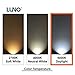 LUNO A19 Dimmable LED Bulb, 9.5W (60W Equivalent), 800 Lumens, 5000K (Daylight), Medium Base (E26),UL & Energy Star (4-Pack)