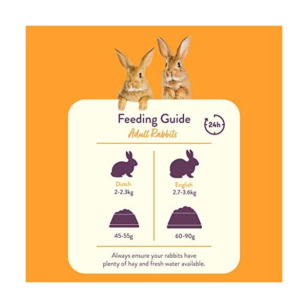 Burgess Excel Rabbit Adult Oregano, 2 kg