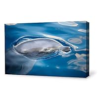 Canvas Wall Art Lovely Dolphin Canvas Prints Home Artwork Decoration for Living Room,Bedroom - 12x18 inches