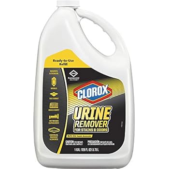 Amazon.com : Shout for Pets Turbo Oxy Urine Destroyer ...