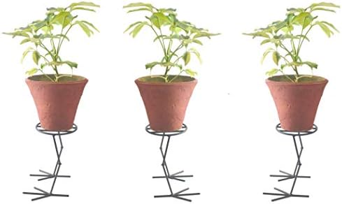 Erbanize® Metal Plant Stand/Planter Stand/Flower Pot Stand/Plant Holder. Set of 03