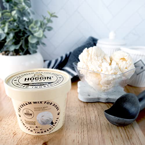 Dog Ice Cream Mix Just Add Water and Freeze, Doggy Ice Cream Mix