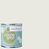 Inspired Eggshell Interior Colorspot Paint Sample, Imagine .06,  8-oz