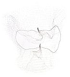 Keystone 109I-REG-WHT White Lightweight Nylon Invisible Hairnet with 1/4