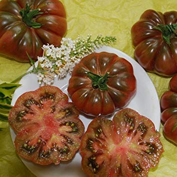 VISA STORE Seeds - Tim Ruffles Seeds