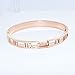 Baoliren Rose Gold Plated Titanium Roman Numeral Women's Bracelet