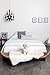 Overland Single-Pelt Long-Wool Australian Sheepskin Rug, IVORY, Size 1 SIZE