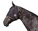 Kensington Natural Fly Mask with Webbing for Horses — Protects Horses Face and Eyes From Flys and UV Rays — Breathable and Non Heat Transferring Makes it Perfect Year Round