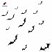 YINGKAI DIY Halloween Party 15pcs/Pack Black PVC 3D Decorative Bats Butterfly Wall Decal Wall Sticker, Halloween Eve Decor Home Window Decoration
