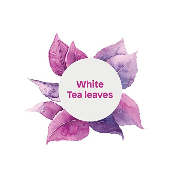 ATTITUDE-Natural-Liquid-Hand-Soap-Hypoallergenic-Biodegradable-Vegan-and-Cruelty-Free-White-Tea-Leaves-473-mL ATTITUDE Hand Soap, Plant and Mineral-Based Ingredients, Vegan Personal Care and Beauty Products, White Tea Leaves, 473…