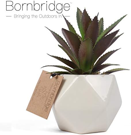 Bornbridge Artificial Succulent - Fake Succulent in Planter - Faux Succulent with Ceramic Geometric Planter - Bromeliad Succulent - Artificial Potted Plant (Single)