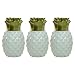 TIKI Brand Pineapple Glass Table Torch, White (Set of 3)