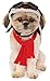 Rubies Aviator Pet Hat & Scarf Set for Dogs or Cats, S/M