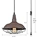 DAYCENT Nautical Farmhouse Plug-in Pendant Light Barn Metal Wire Caged Swag Light Fixture with On/Off Switch on Plug-in Cord, Rust Finish
