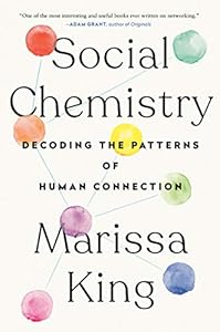 Social Chemistry: Decoding the Patterns of Human Connection book cover
