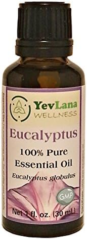 YevLana Wellness Multi-Use Eucalyptus Essential Oil Simple Therapeutic Holistic High Quality 100% Pure Natural in Glass, 30ml, 1 oz