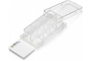 SPL LIFE SCIENCES SPL Cell Culture Chamber Slide, Clear, 8 Wells, PS Frame, Glass Slide, PP Holder, 0.2~0.6 ml, Sterile, Case of 12 // 2 Pack of 6