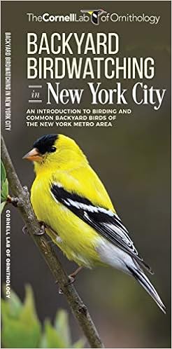 Amazon Com Backyard Birdwatching In New York City An
