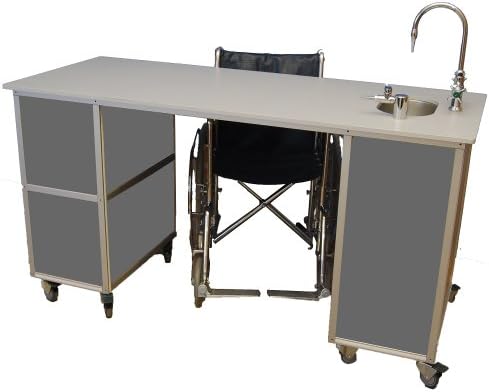 Monsam PSE-2041 ADA Accessible Portable Science Lab, Grey