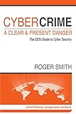 CyberCrime - A Clear and Present Danger: The CEO's Guide to Cyber Security by Roger Smith