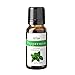 ArOmis Essential Oil Kit - Organic - Pure Therapeutic Grade - Undiluted Premium 150 Micron Filtered for Nebulizer Use (0.34 Fl Oz (Pack of 6), Basic Kit)