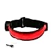 Glovion USB Rechargeable Light up Sports Armband Belt - Safety and Visibility for Running, Cycling or Walking (Red)