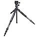 Dolica ZX600B103 Professional 60-Inch ZX Series Carbon Fiber Tripod with Ball Head and Carry Bag (Black)