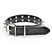Pet Kingdom 20-22'' Large Spikes PU Leather Dog Collars Studded Dog Collar Medium Or Large Pet Collar (Black, Large)