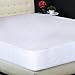 Protect-A-Bed Luxury Waterproof Mattress Protector, Queen