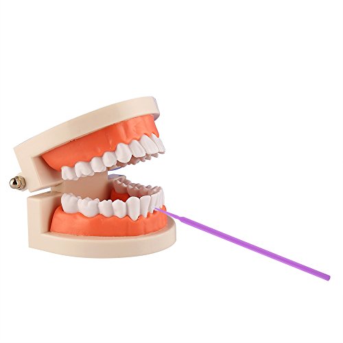 400 Pieces Dental Disposable Product Dental Micro Applicator Brush