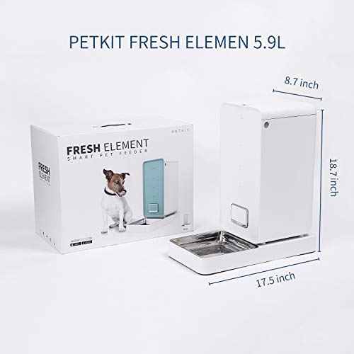petkit smart pet feeder