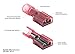 100 PCS Red Female Nylon Disconnect Spade Terminal, 22-16 Gauge, Fully-Insulated Crimp Connector for Marine & Automotive Use - 0.187