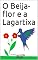 Livro O Beija-flor e a Lagartixa