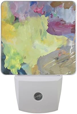 Printing Oil Painting Patterns Night Light 2 Pack Plug in Auto on off 0.5W LED Nightlight