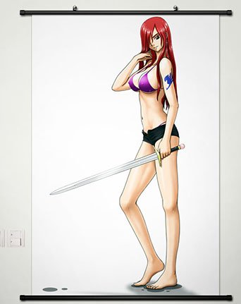 Wall Scroll Poster Fabric Painting For Anime Fairy Tail Erza Scarlet 013