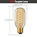 DORESshop Antique Vintage Light Bulbs, T45 Dimmable 60W Edison Tungsten Light Bulbs, Amber Glass, 350LM, E26 Edison Tubular Style Bulbs for Home Light Fixtures Decorative (4 Pack)