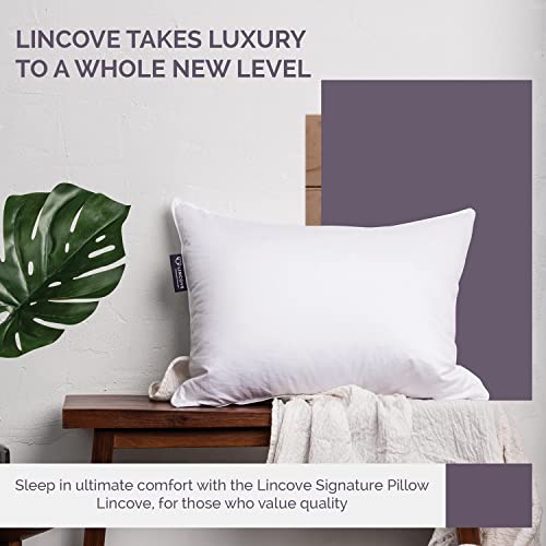 Lincove Signature 100 Natural Canadian White Down Luxury Sleeping