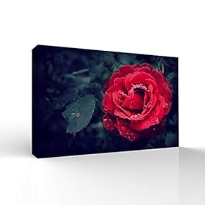 Beautiful Flowers Pictures Home Wall for Bedroom Living...