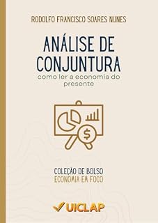Livro Análise de Conjuntura: como ler a economia do presente (Economia em Foco Livro 13)