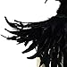 Homelix Gothic Black Natural Feather Cape Shawl with Choker Collar