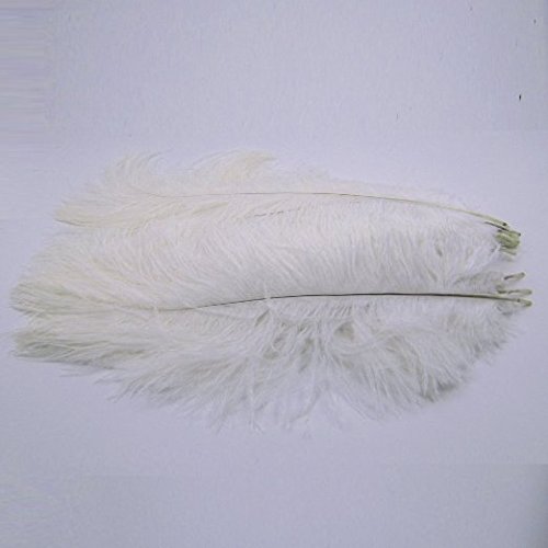 KOLIGHT10pcs Ostrich Feather White 12"-14" Natural Feathers Wedding, Party ,Home ,Hairs Decoration