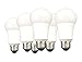 TCP 40W Equivalent LED Light, Non-Dimmable, Daylight (5000K) (Pack of 6)