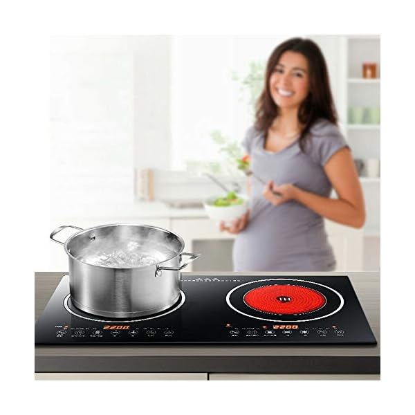 Portable Induction Cooktop 110V 8 Levels Electric Dual Induction
